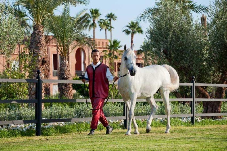 Selman Marrakech Hotell El Makina Fasiliteter bilde