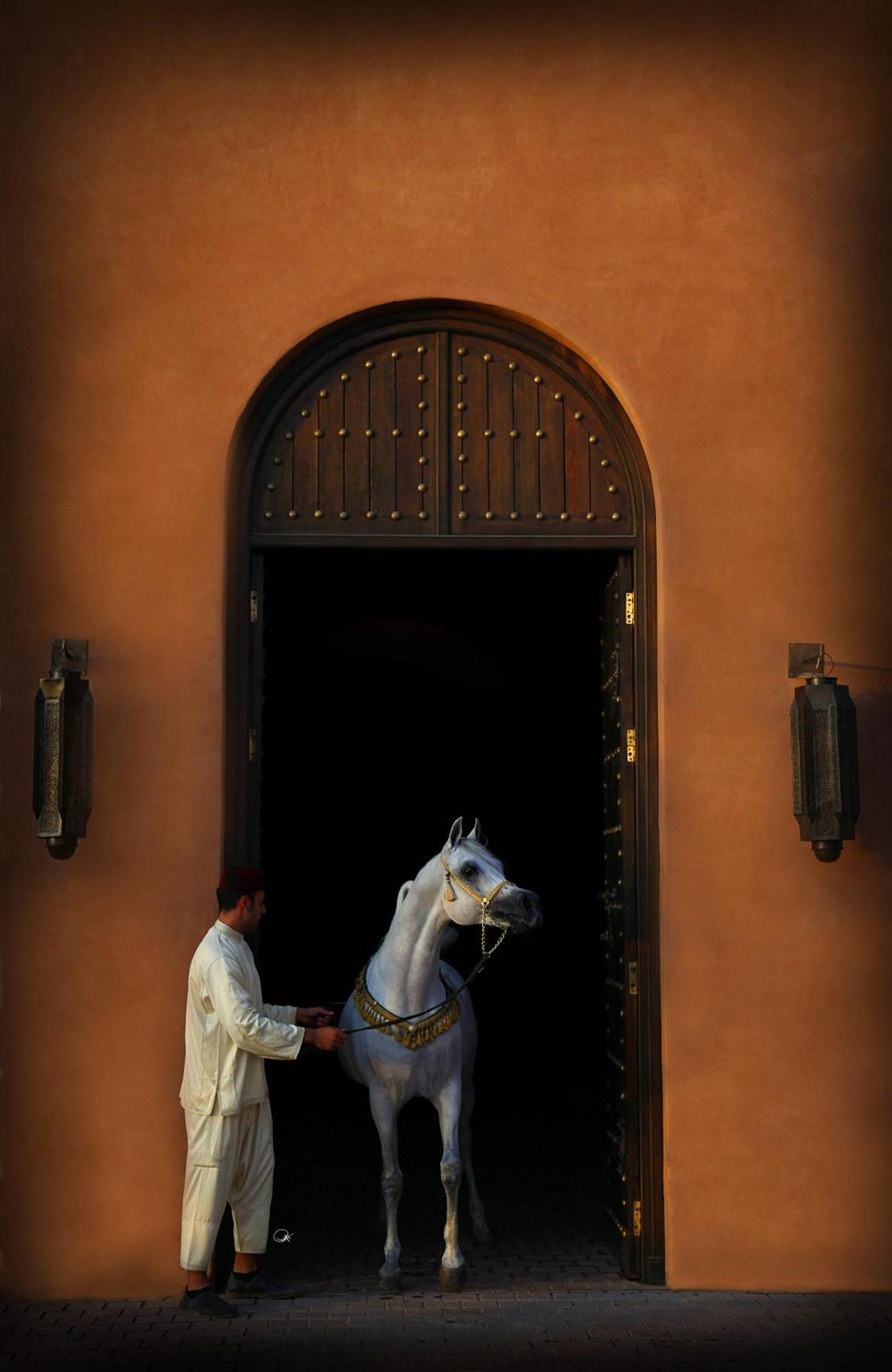 Selman Marrakech Hotell El Makina Eksteriør bilde