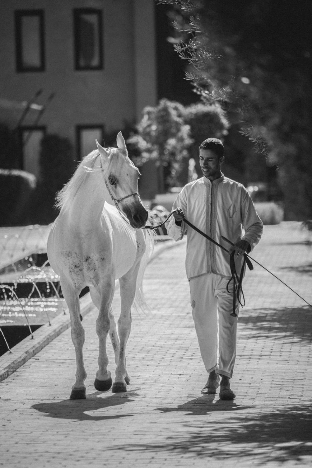 Selman Marrakech Hotell El Makina Eksteriør bilde